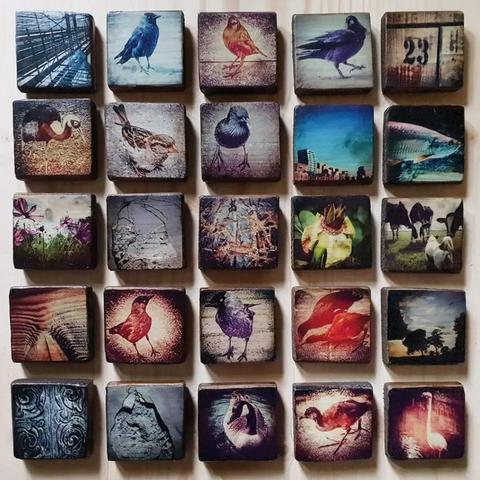 Werk van Cindy Koning | ShadowDreams