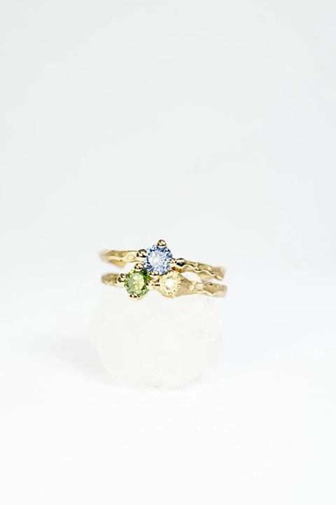 Werk van Liesbeth Busman (Saagae Rings)