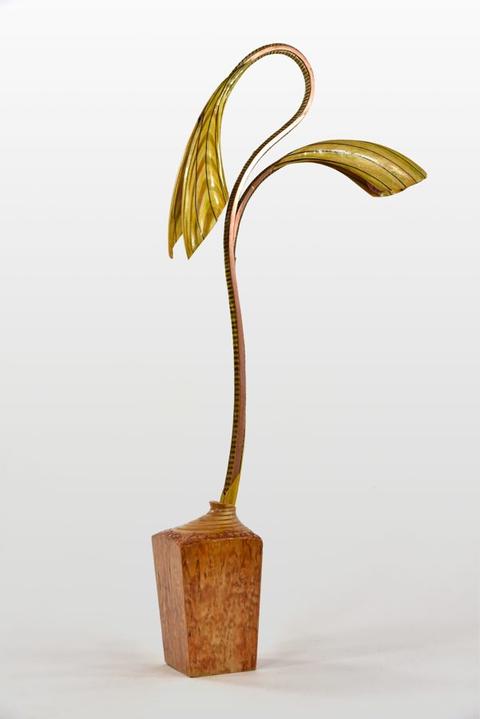 Werk van Martin Klopstra