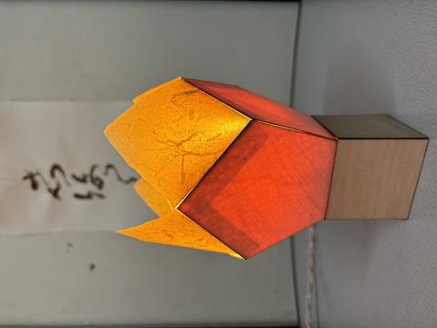 Werk van Papiermakerij De Hoop (Marieke de Hoop)