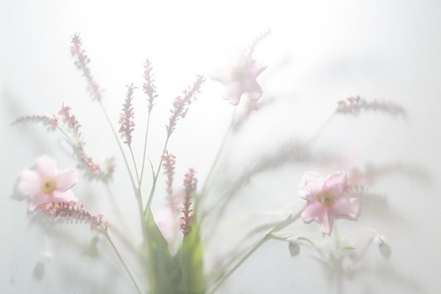 Hazy Flow — beeld 2