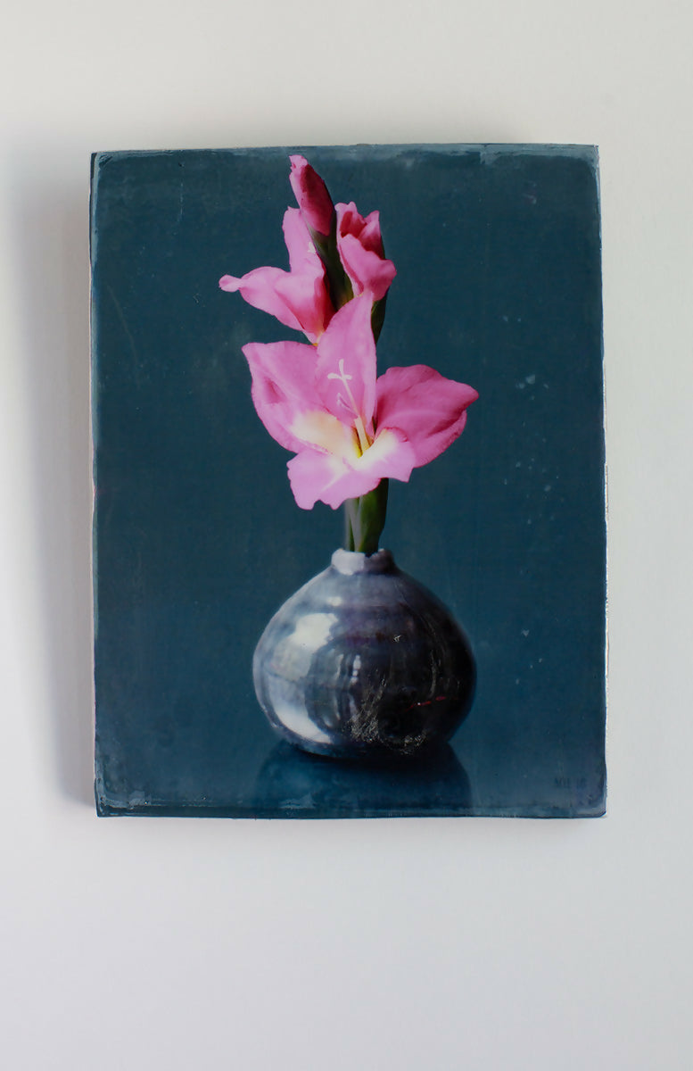 Gladiool — beeld 2